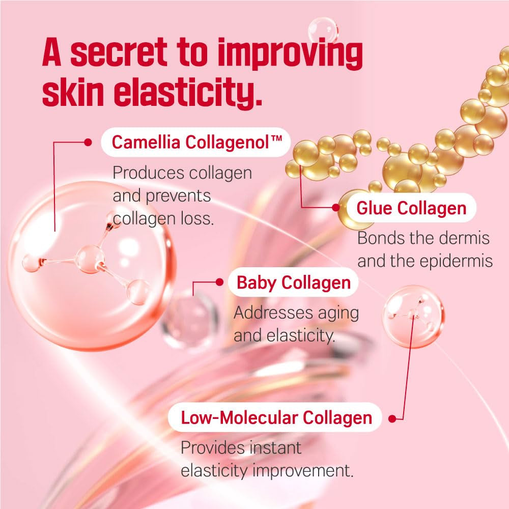 ROUND LAB - Camellia Deep Collagen Firming Cream - 50ML