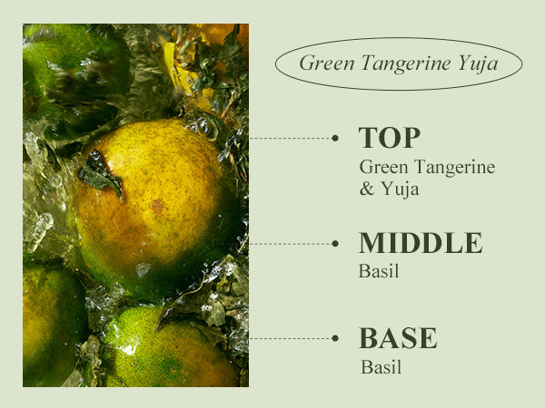 TEABLESS - Green Tangerine Yuja Kombu Tea Perfume Hair & Body Mist - 100ML