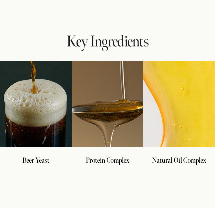 ANILLO - Dark Beer Biome Hair Essence - 50ML + (GIFT) ANILLO - Fig Whisky Body Oil - 22ML