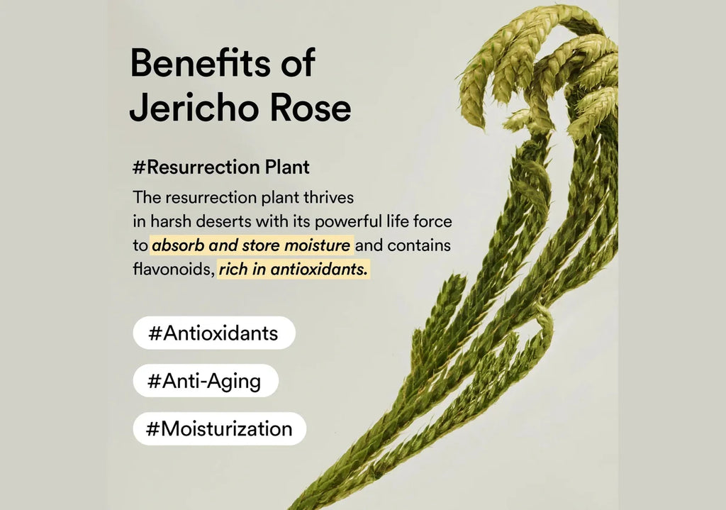ABIB - Collagen Eye Patch - Jericho Rose Jelly (60pcs)