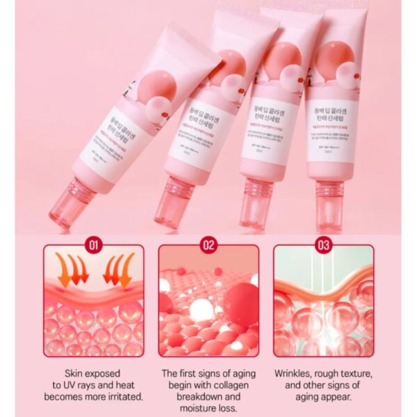 ROUND LAB - Camellia Deep Collagen Firming Sun Serum - 50ML